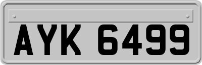 AYK6499