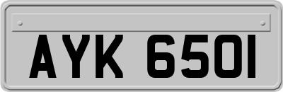 AYK6501