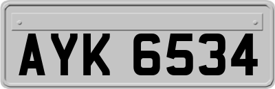 AYK6534