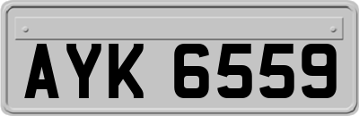 AYK6559