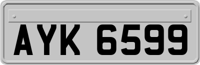 AYK6599