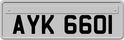AYK6601