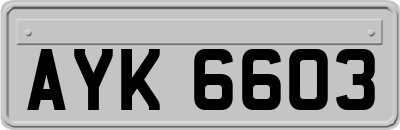 AYK6603