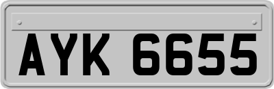 AYK6655