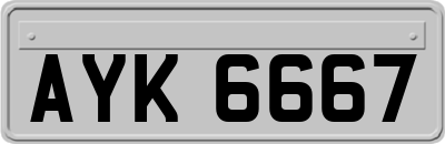 AYK6667