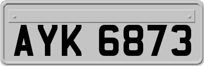 AYK6873