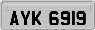 AYK6919
