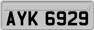 AYK6929
