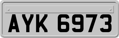 AYK6973