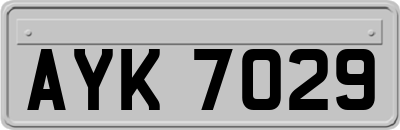 AYK7029