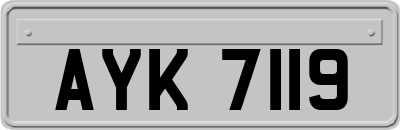AYK7119