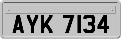 AYK7134