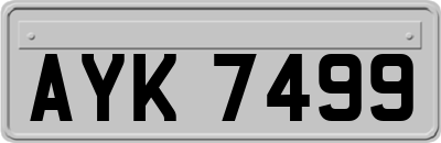 AYK7499
