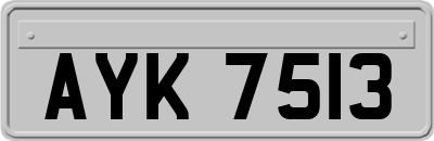AYK7513