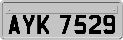 AYK7529