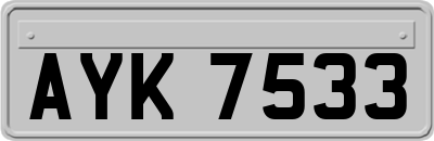 AYK7533