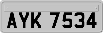 AYK7534