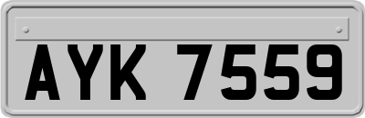 AYK7559