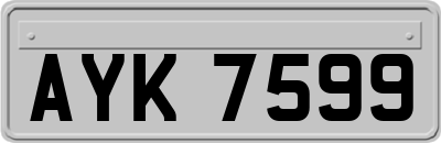 AYK7599