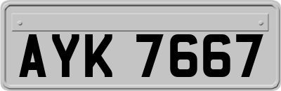 AYK7667