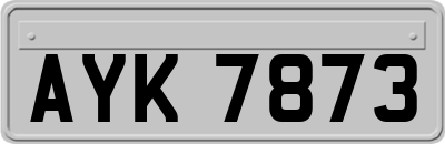 AYK7873