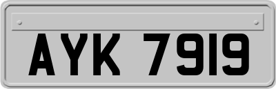 AYK7919