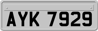 AYK7929