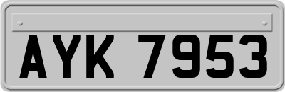 AYK7953