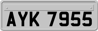 AYK7955