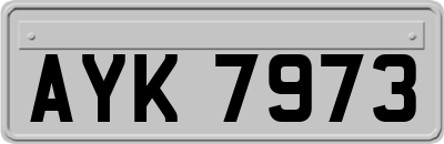AYK7973