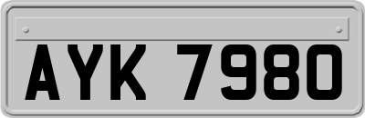 AYK7980