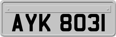 AYK8031