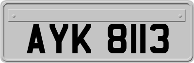 AYK8113