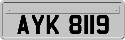 AYK8119