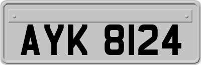 AYK8124