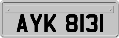 AYK8131