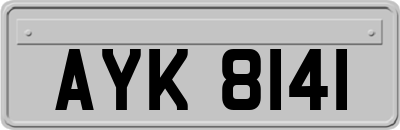AYK8141