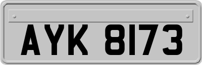 AYK8173