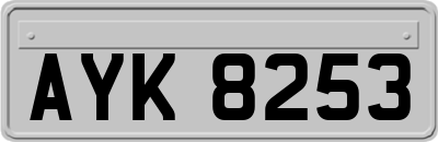 AYK8253