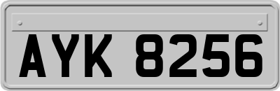 AYK8256