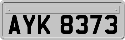 AYK8373