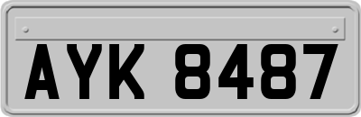 AYK8487