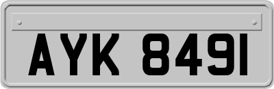 AYK8491