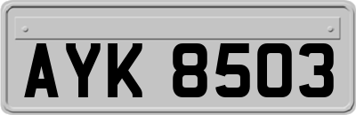 AYK8503