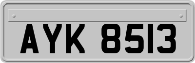 AYK8513