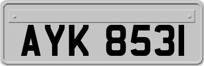 AYK8531