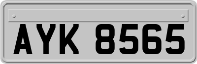 AYK8565