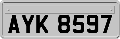 AYK8597
