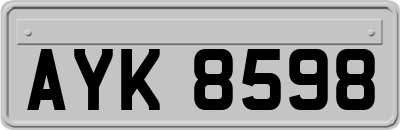 AYK8598