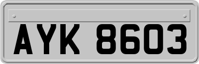 AYK8603